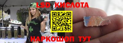 шишки Новозыбков