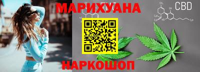 шишки Новозыбков