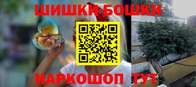шишки Новозыбков