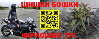 шишки Новозыбков