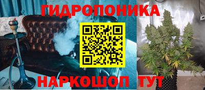 шишки Новозыбков