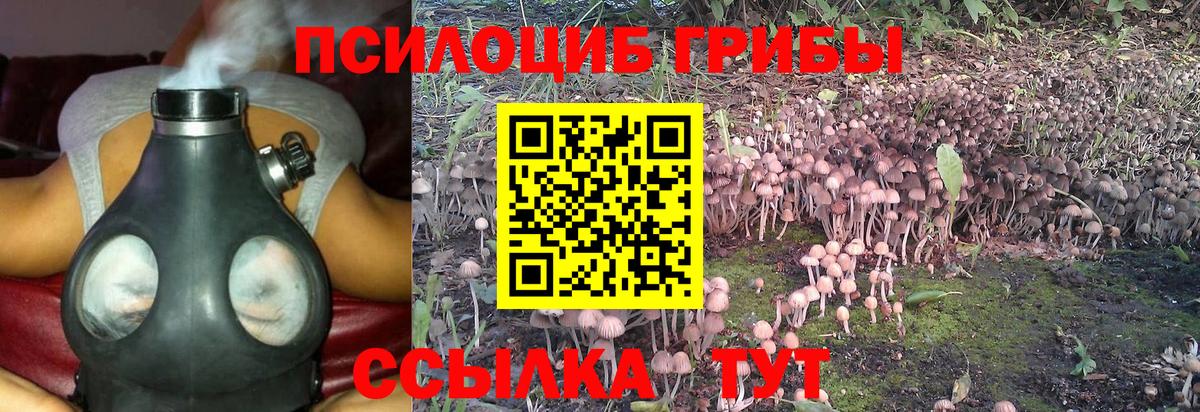Галлюциногенные грибы GOLDEN TEACHER Шуя