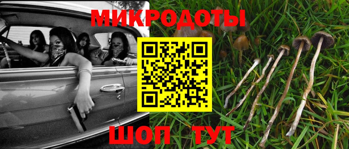 Галлюциногенные грибы Cubensis  Галлюциногенные грибы мицелий  Шуя  Вход с VPN 