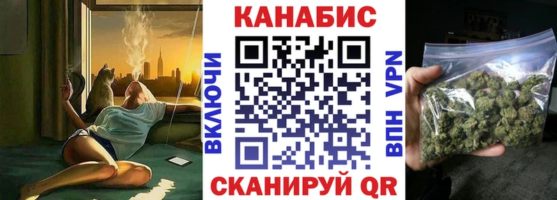 Конопля сатива Шуя